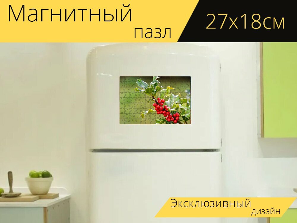 Магнитный пазл "Холли, фрукты, филиал" на холодильник 27 x 18 см.