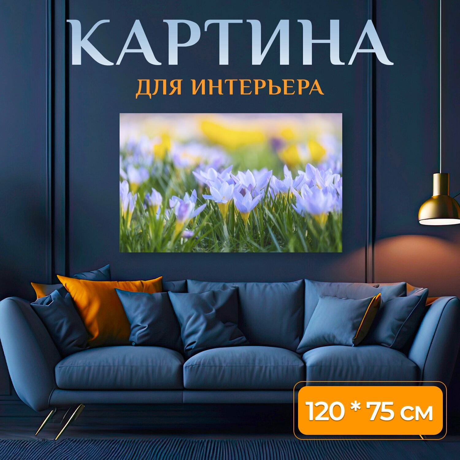 Картина на холсте "Крокусы, рано цветущий, цвести" на подрамнике 120х75 см. для интерьера