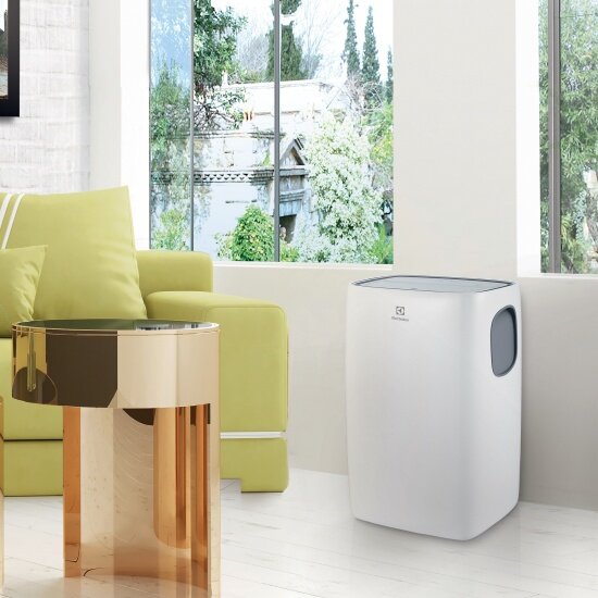 Мобильный кондиционер Electrolux - фото №8
