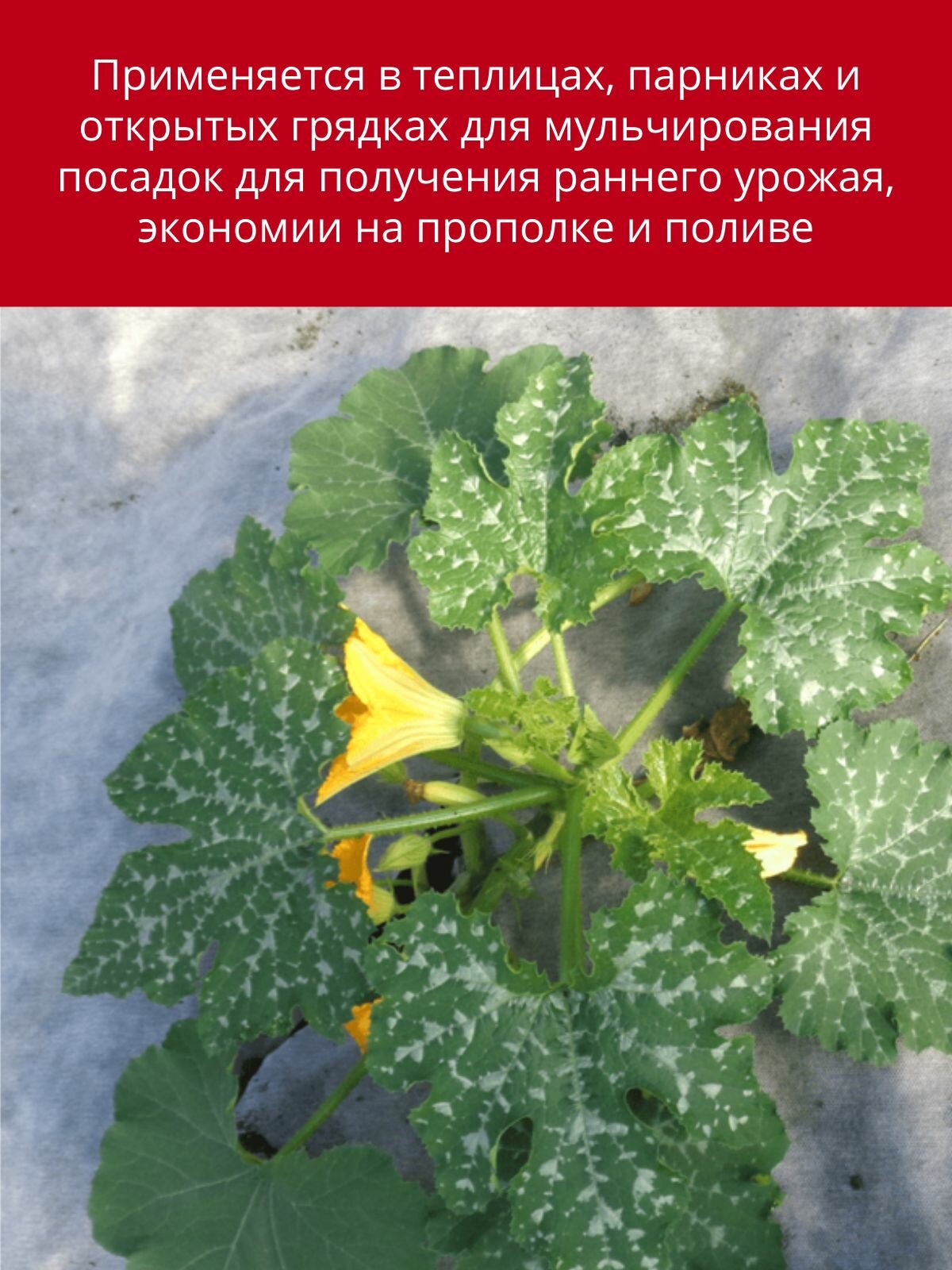 Агроткань от сорняков Агротекс застилочная, черно-белая 80 г/м2 с УФ 1,6 х 5м — фото 1