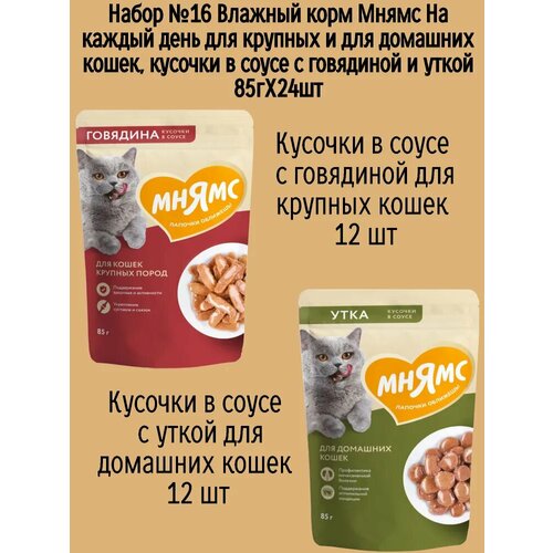 Набор №16 Влажный корм Мнямс для взрослых кошек, кусочки в соусе с говядиной и уткой, 24 шт х 85 гр