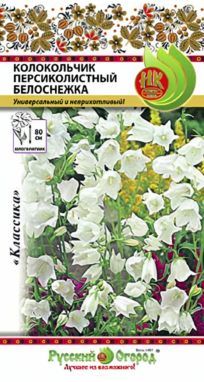 Цветы Колокольчик Белоснежка персиколистный