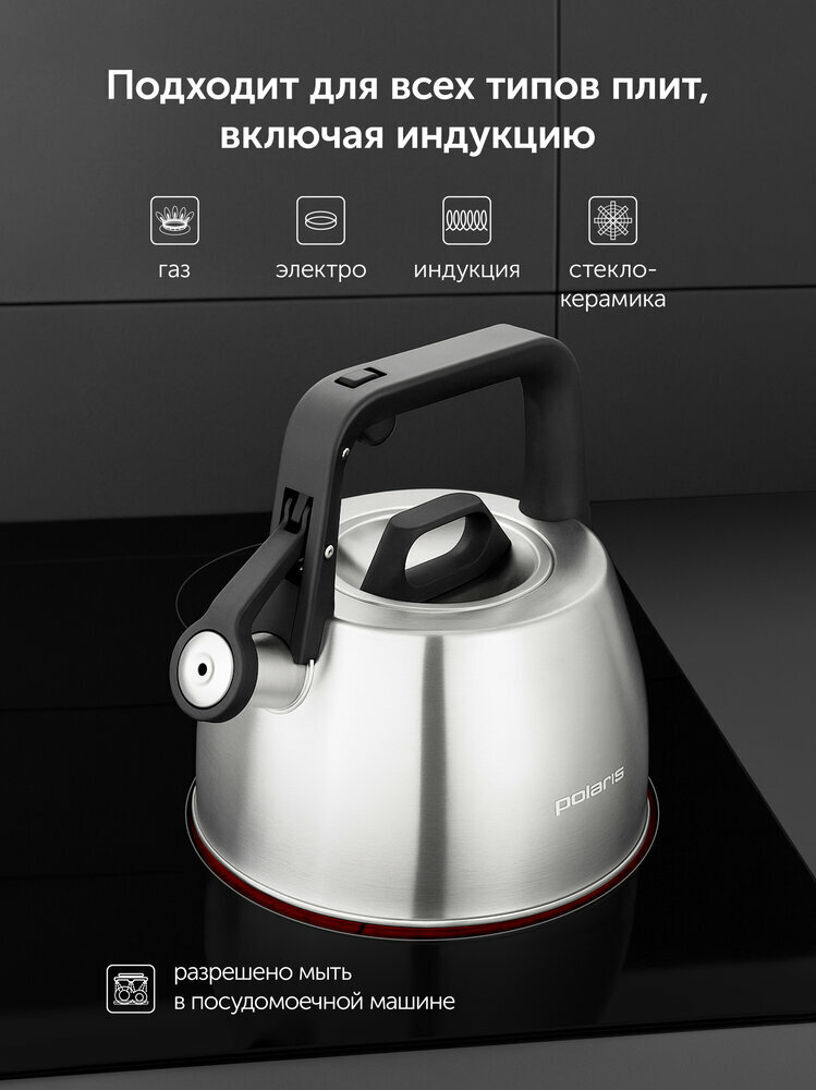 Чайник Polaris Graphit-2,5L, со свистком, нержавеющая сталь, серый — фото 1
