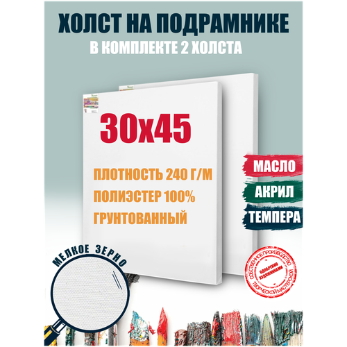 Холст ФокусСмайл на подрамнике 30х45 см грунтованный