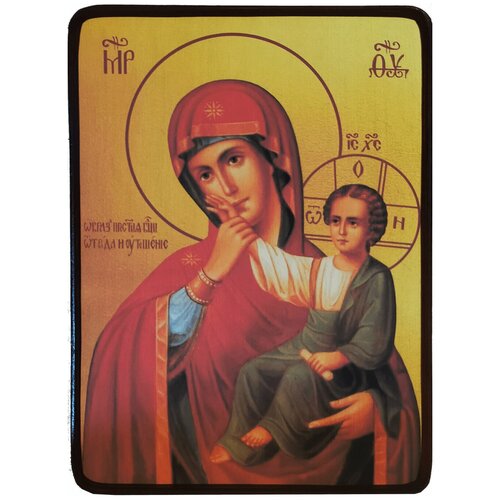 Икона Отрада и утешение (Ватопедская) Божией Матери, размер 14 х 19 см