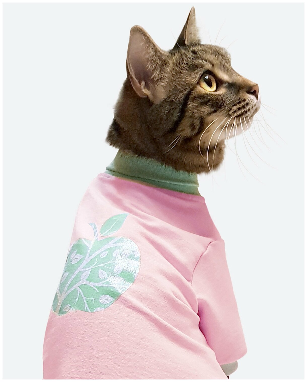 Толстовка для кошек и котят Яблоко / Размер XS/ Одежда для собак мелких пород / Одежда для кошек сфинкс - фотография № 3