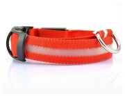 Светящийся ошейник для собак нейлоновый с USB проводом Pet Paradise, товары для животных, обхват шеи 34-39 см размер s красный