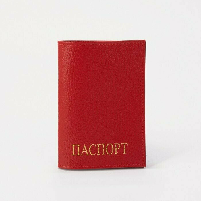 Купить Обложка для паспорта за 1140р. с доставкой