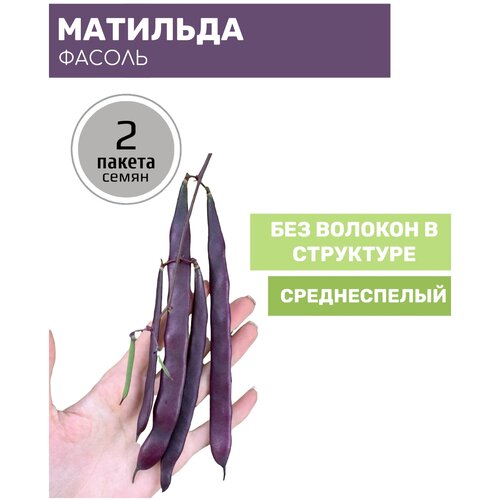 Фасоль Матильда 2 пакета по 5г семян горох голден свит 2 пакета по 5г семян