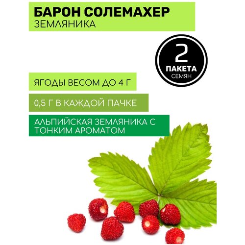 Земляника Барон Солемахер 2 пакета по 0,05г семян