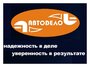 Отвёртка со сменными битами АвтоDело 40001, 7 предм, серый/красный