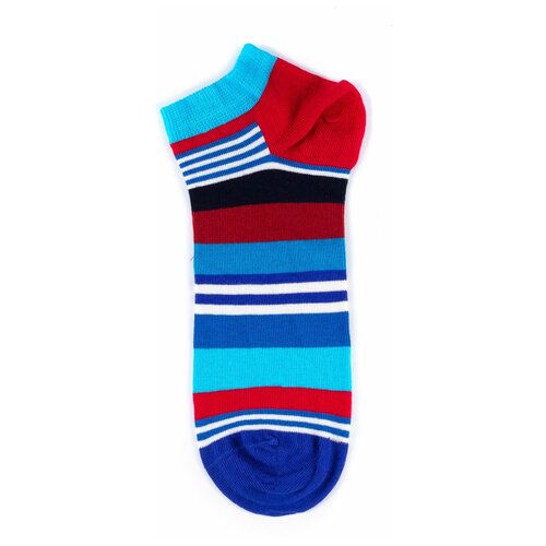 Happy Socks - Low Multi Stripe - Blue 36-40