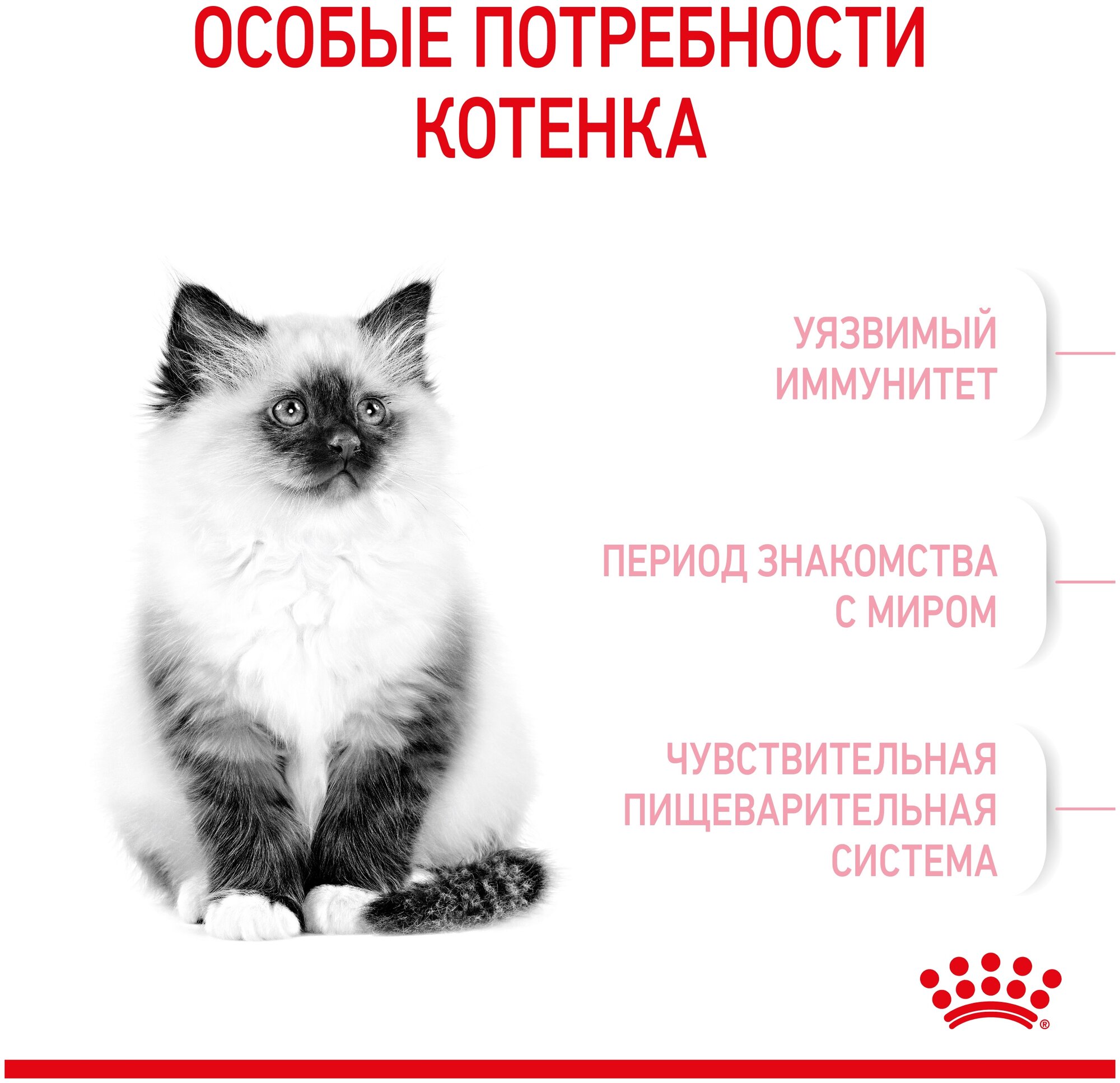 ROYAL CANIN KITTEN 36 для котят (0,3 + 0,3 кг) - фотография № 2