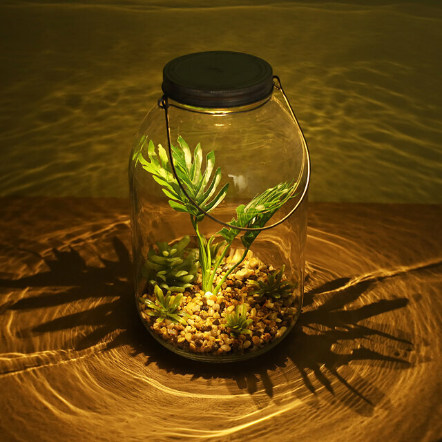 Boltze Декоративный флорариум-банка Тропический Оазис с пальмой 29 см, теплая белая LED подсветка, стекло, IP20 2005352