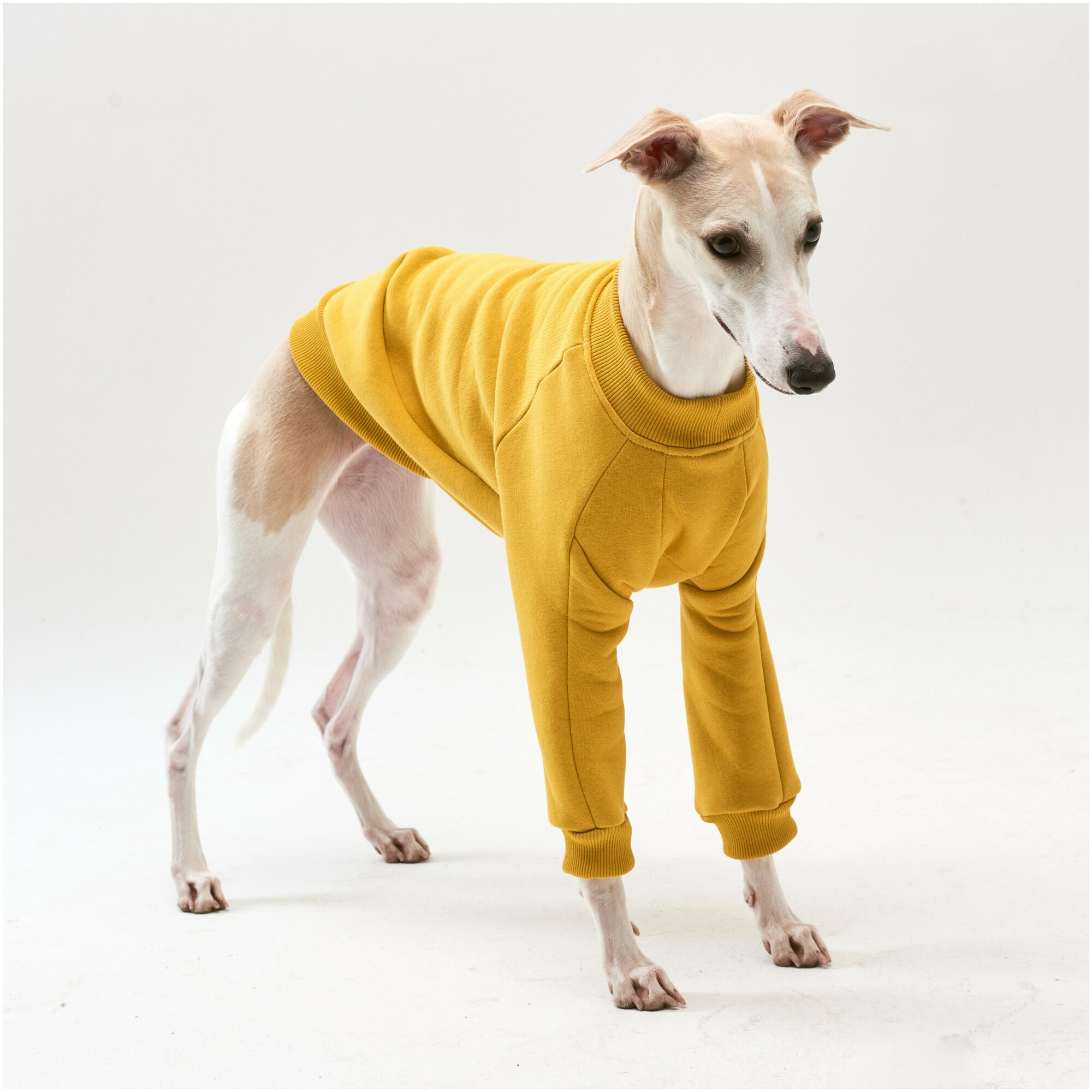 WOOFLER / Свитшот теплый для уиппета, толстовка из футера, подходит для борзых, одежда для собак средних пород, цвет желтый, размер M44 - фотография № 3