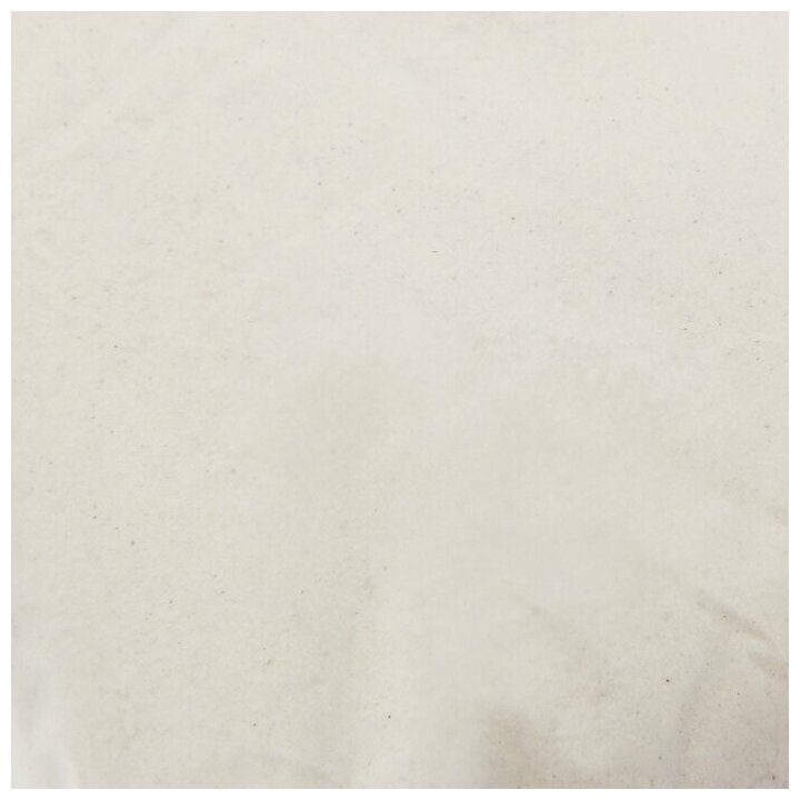 Песок для шиншилл "Мышильд", 1,5 кг 845864 - фотография № 2