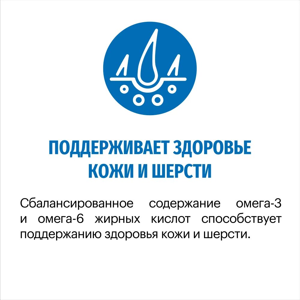 Корм для собак сухой KARMY Maxi Adult для собак крупных пород, Телятина 14 кг. — фото 1