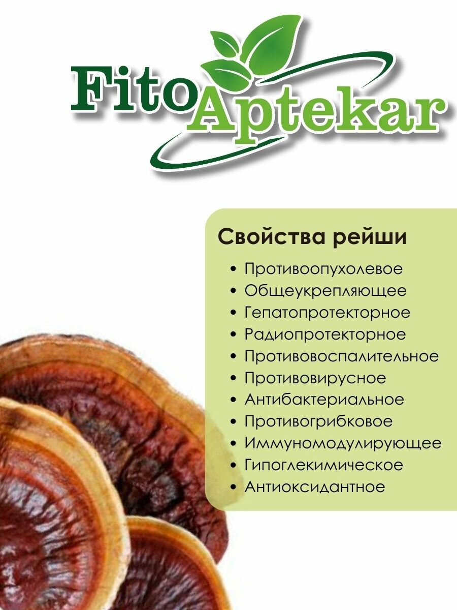 Картинки Гриб Рейши "Фито-Аптекарь" - мощный антиоксидант и иммуностимулятор, средняя фракция 150г