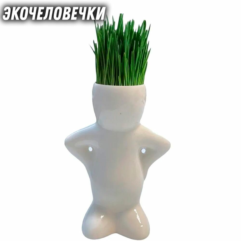 Травянчик Экочеловечек