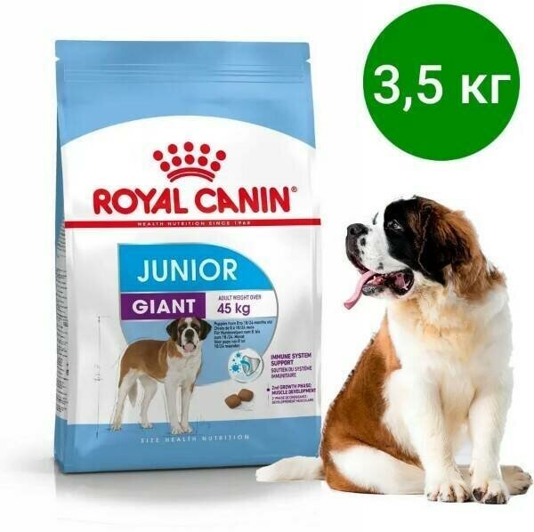 Корм для собак Royal Canin Корм Giant Junior (Джайнт Юниор) сухой для щенков очень крупных размеров до 8 месяцев, 3,5 кг - фотография № 6