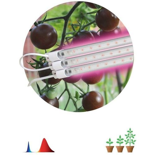 комплект 5 штук фитосветильник для растений эра fito 3х10w line rb90 линейный 3x10 б0050924 Светильник модульный для растений FITO-3х10W-LINE-RB90 30Вт красно-синего спектра ЭРА Б0050924