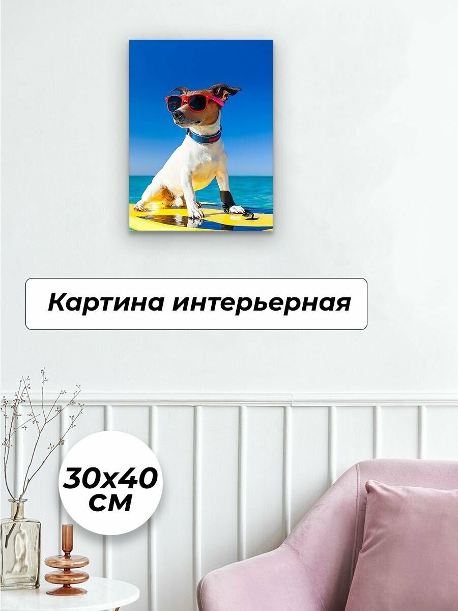 Картина на стену 30х40 см Собака смешная в очках