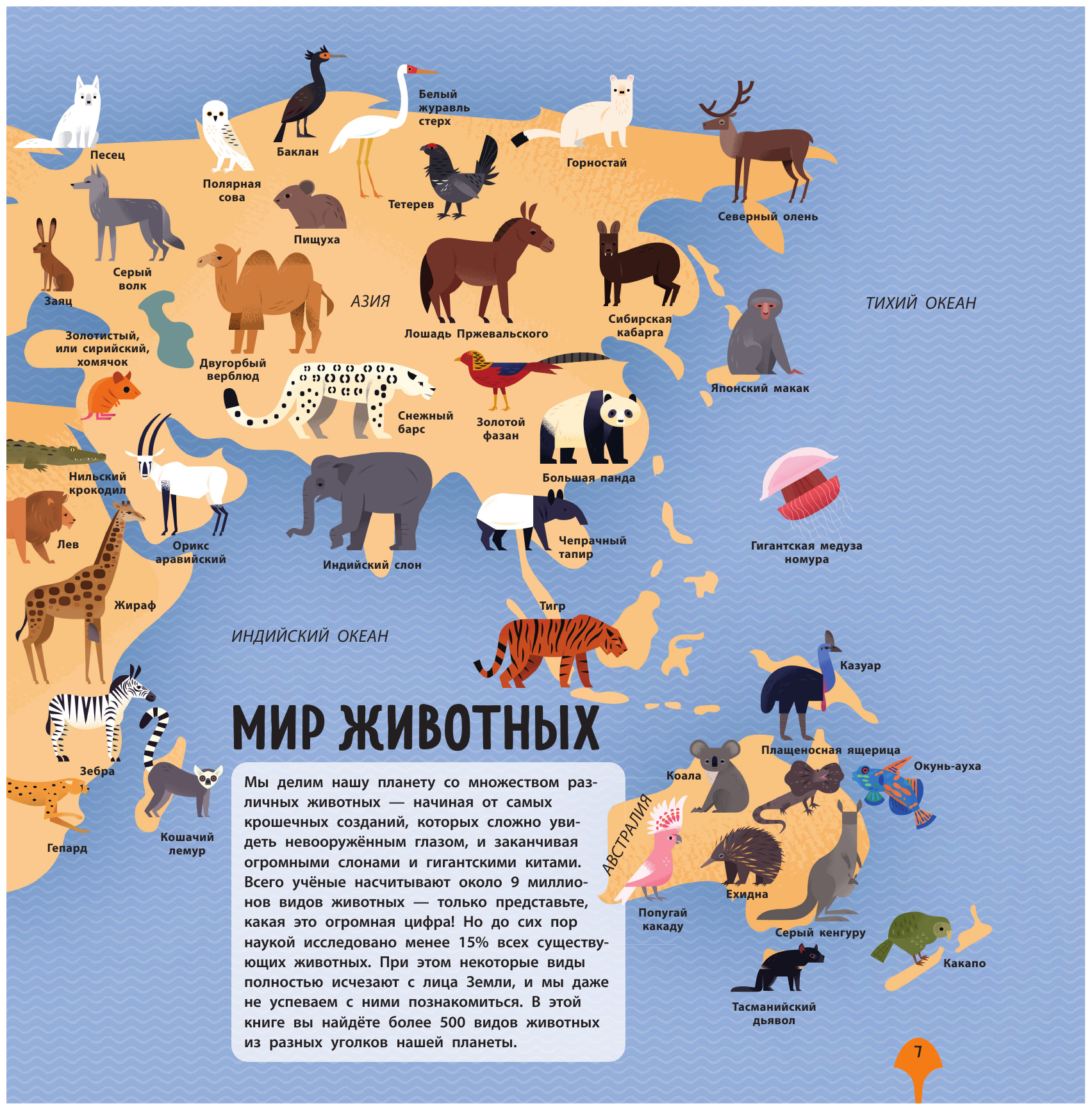 Удивительный атлас животных. Виртуальная реальность - фото №12