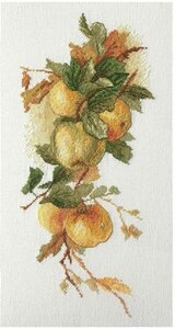 Фото Набор для вышивания Аромат яблок по рисунку К. Кляйн