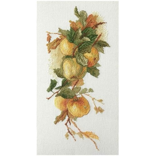 от скетчей к акварельному рисунку Набор для вышивания Аромат яблок по рисунку К. Кляйн