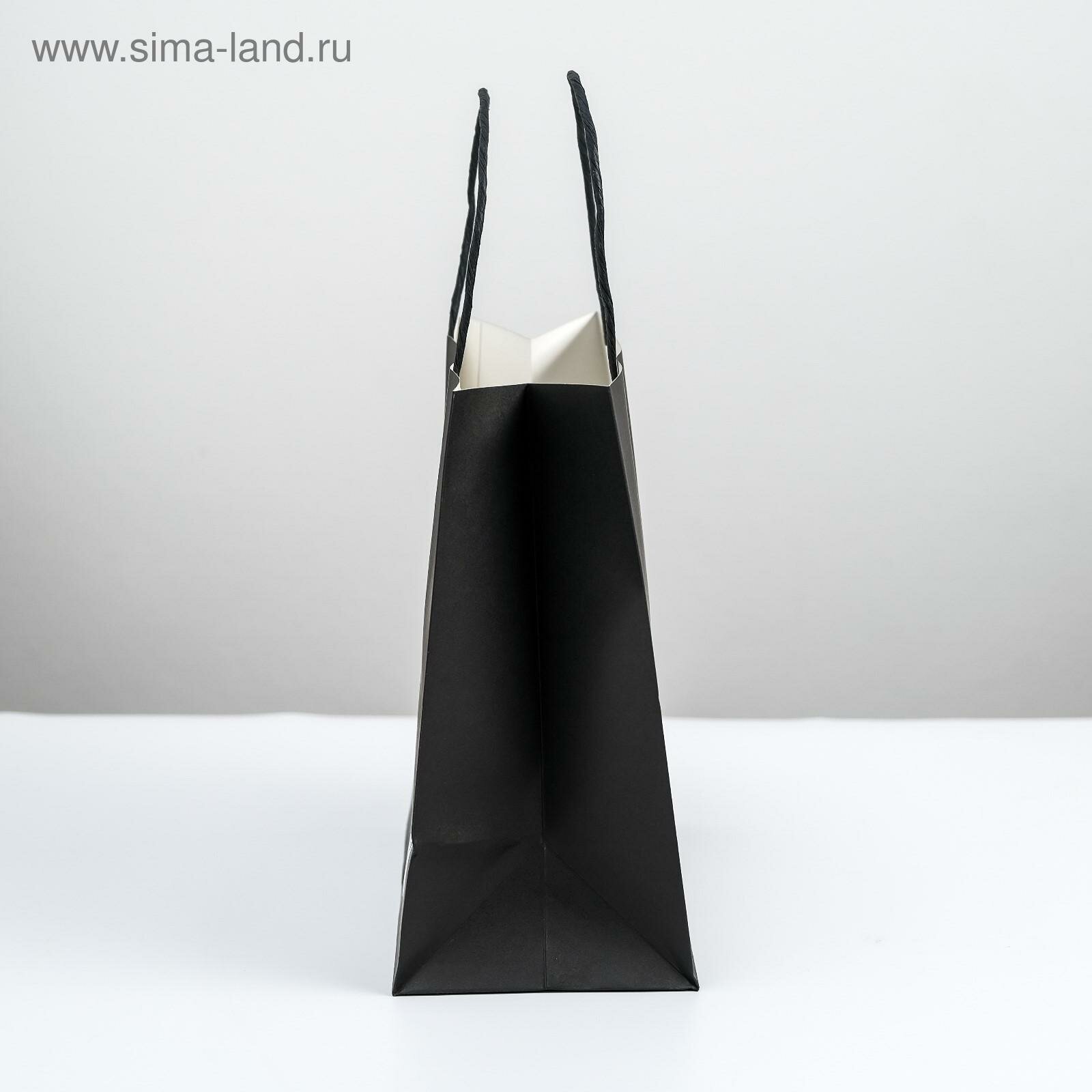 Пакет подарочный «С днищем», 22 × 22 × 11 см, черный, крафтовый — фото 1