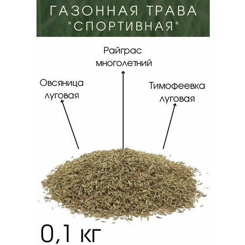 Газонная трава Спортивная 0.1 кг на дворе трава