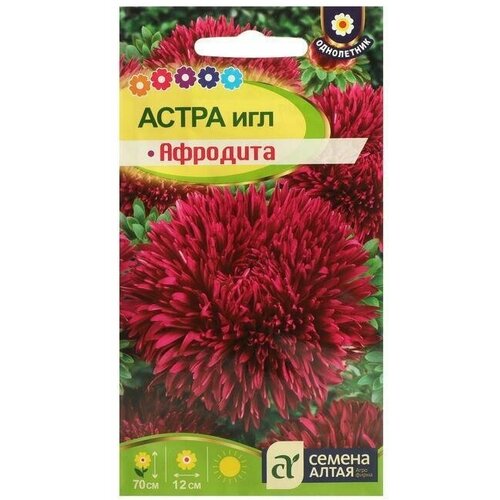 Семена цветов Астра Афродита Игл 0,2 г 4 упаковки