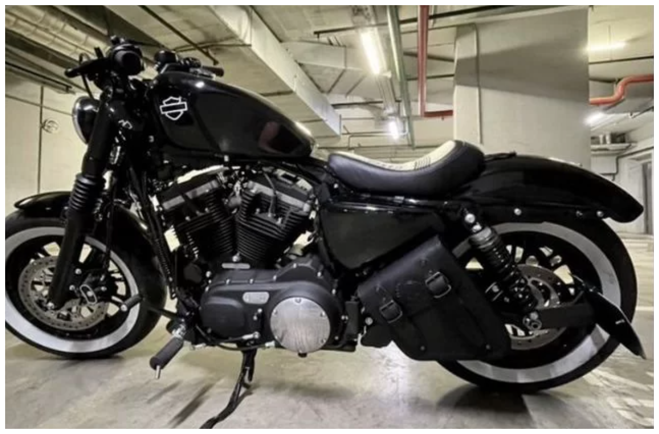 Кофр из натуральной кожи для Harley Davidson Sportster