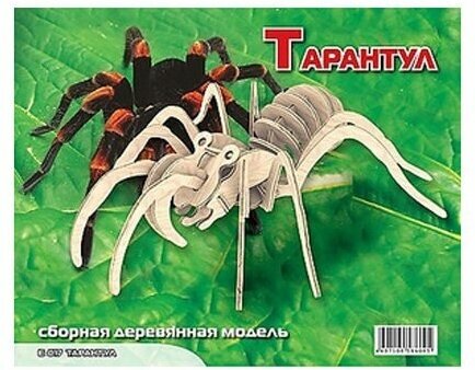 Сборная деревянная модель Wooden Toys Тарантул - фото №4