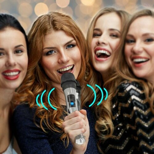 Беспроводной микрофон для караоке домашней вечеринки УКВ USB-приемник 151000₽