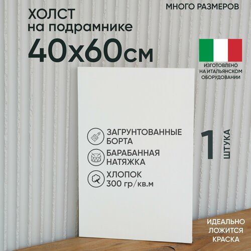 Холст на подрамнике, 1 шт, размер 50 х 60 см, Артель художников, хлопок 300 г/м2, грунтованный