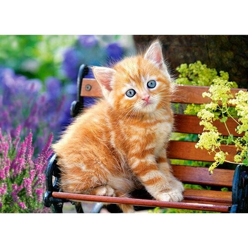 Пазл Castorlаnd Рыжий котенок 180 дет. (B1-018178) пазл castorland ginger kitten b 018178 180 дет