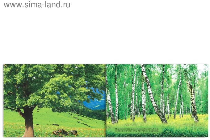 111 наклеек "Изучаем животных" (комплект из 3 книг) - фото №10