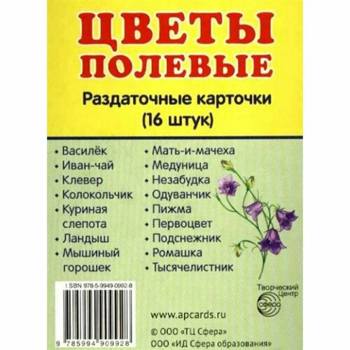 Цветы полевые. 16 раздаточных карточек 63 х 87. Сфера