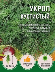 Укроп Кустистый (1 пакет по 3гр)