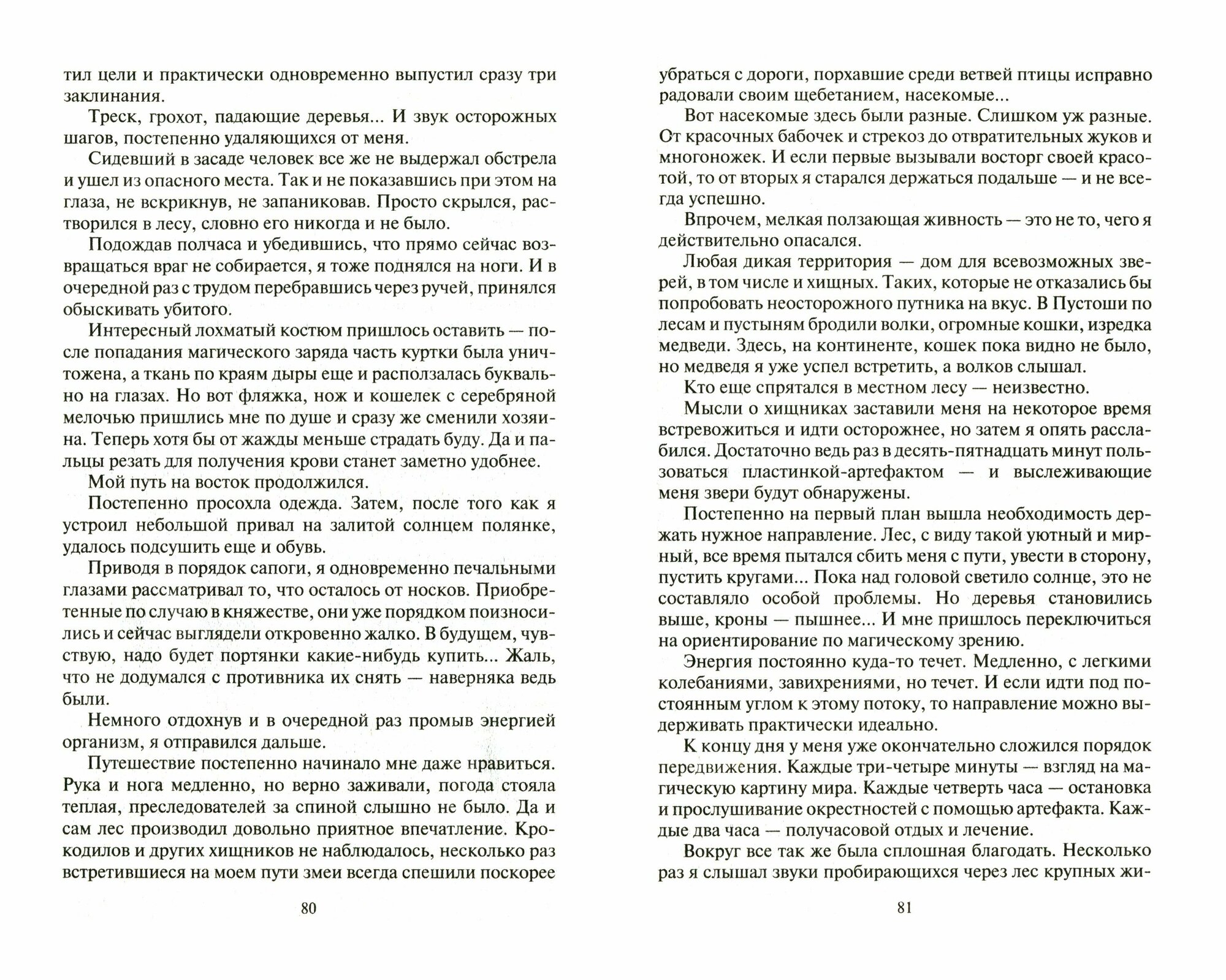 Пустошь. Возвращение (Красников Андрей Андреевич) - фото №2