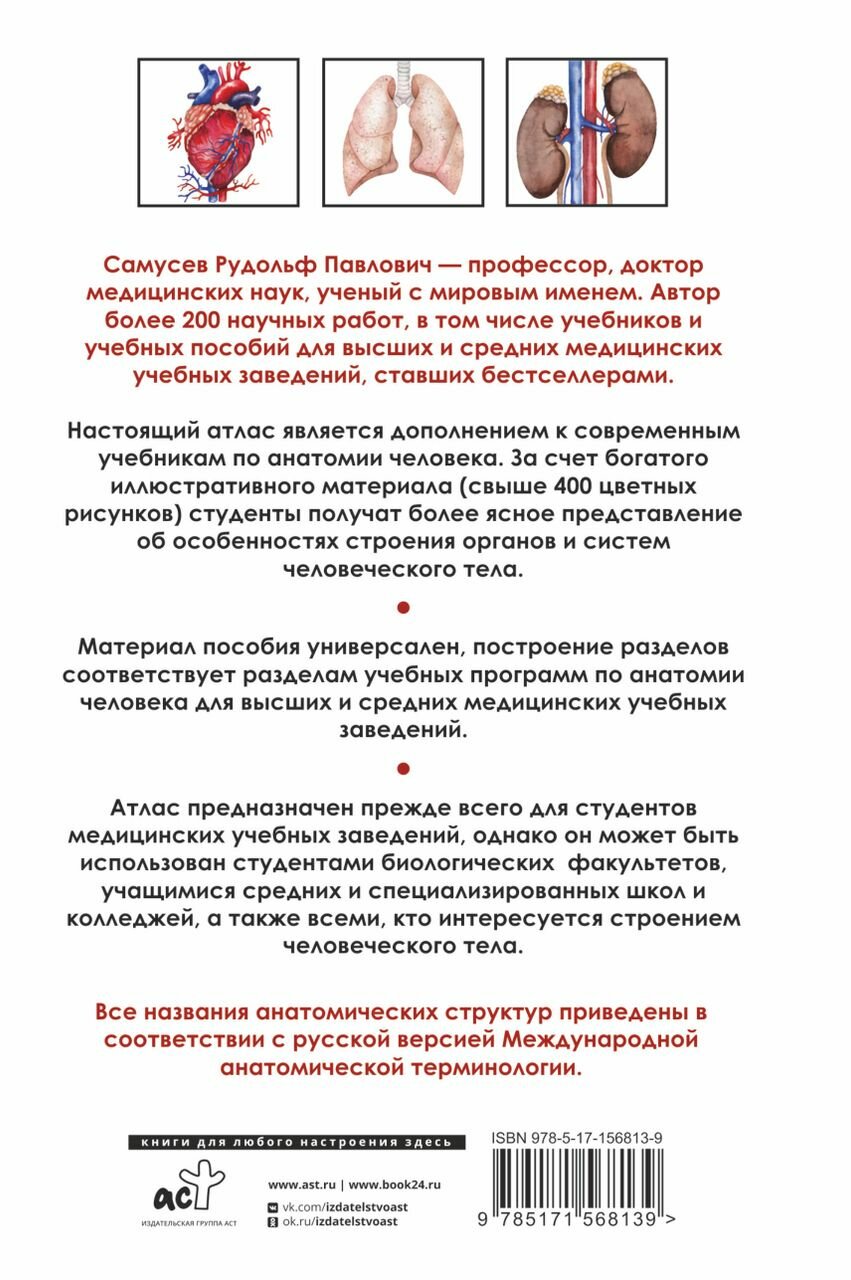 Универсальный атлас анатомии человека с цветными иллюстрациями - фото №5