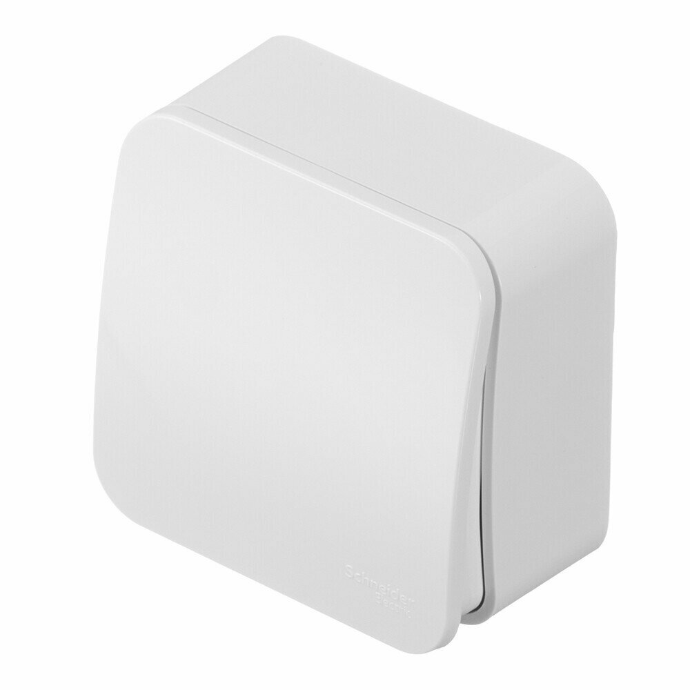 SE Blanca наруж Бел Выключатель 1-клавишный с самовозвратом, 10А, 250В, изолир. пластина Шнайдер - фото №7