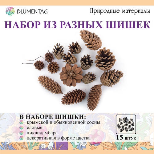 Шишки для декора, поделок Blumentag NPIF-01 Микс 15 шт. 130 г шишки для декора поделок 6 шт blumentag cif 02 03 сосна красный