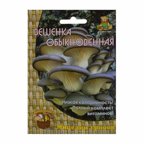 Семена грибов вешенка Обыкновенная на древесном носителе семена гриб вёшенка королевская