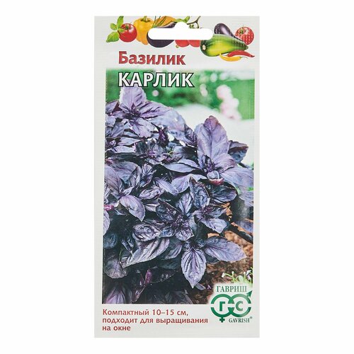 Семена Базилика Карлик фиолетовый семена базилика 5 пакетиков лучшие семена сорта базилик философ на рассаду для открытого грунта на подоконнике f1 фиолетовый