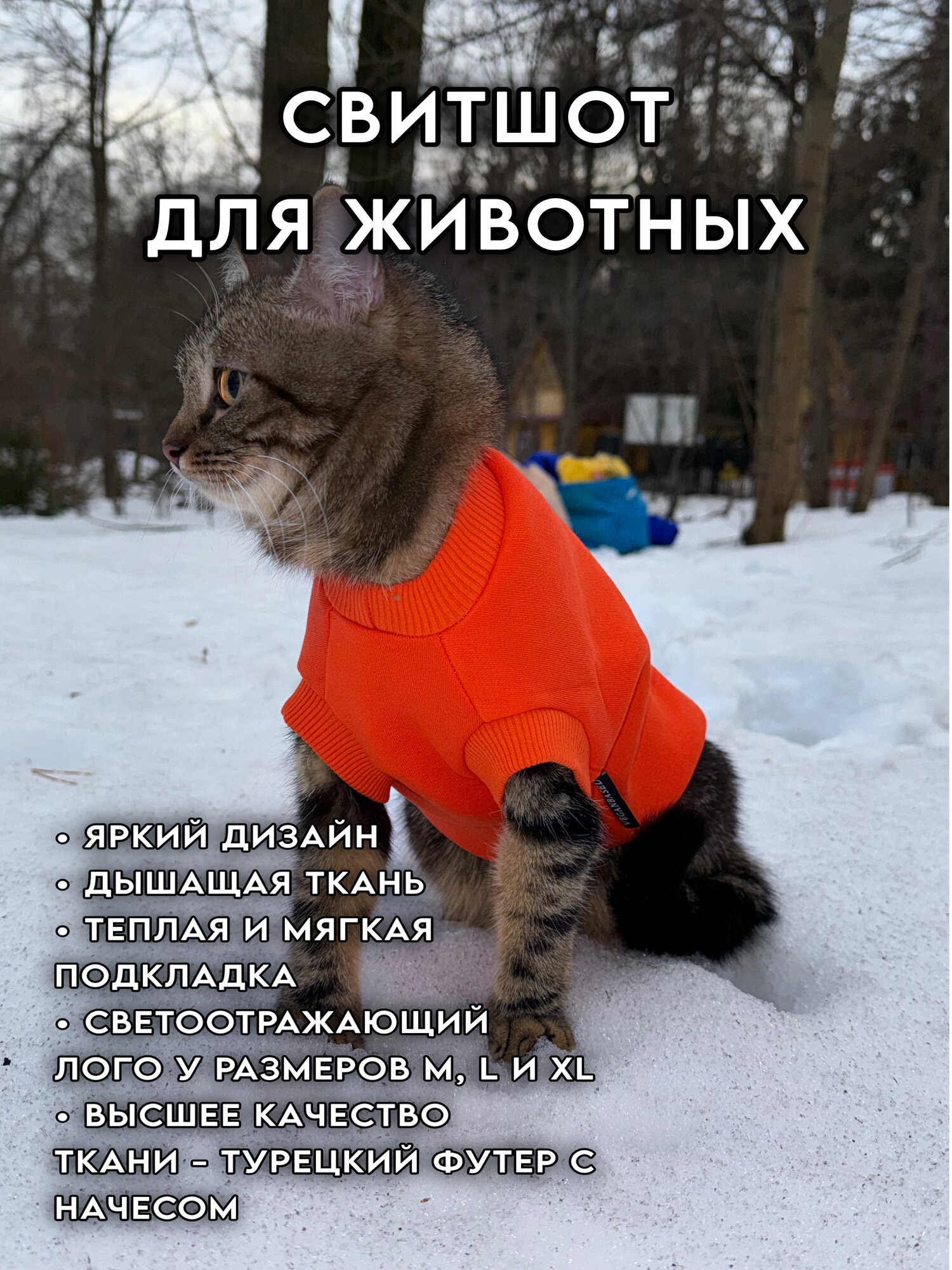 Свитшот для котят и щенят VEGANBASED Оранжевый/S (Длина спинки 23см)