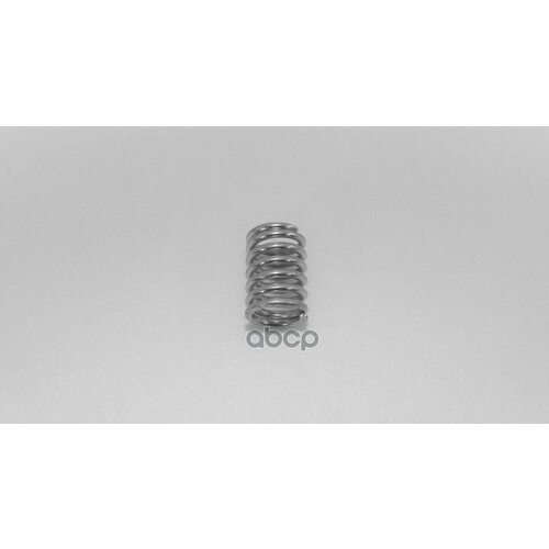 Пружина Прижимная Крепежная Mitsubishi Renault Toyota Weso K2-024 WESO арт K2-024 402₽