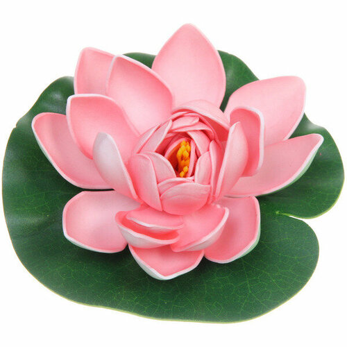 Растение водоплавающее «Кувшинка Розитта» d-13см нежно-розовая