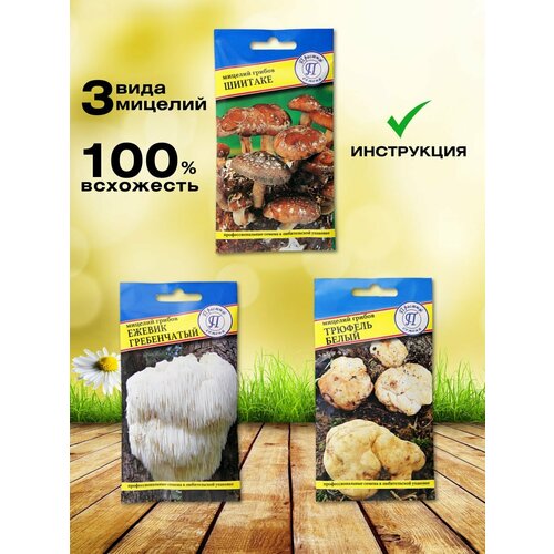 Набор для выращивания грибов Паприка-Корица 798₽